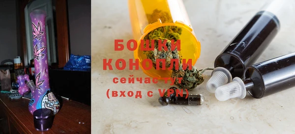 мдпв Гусев
