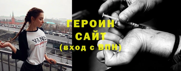 мдпв Гусев