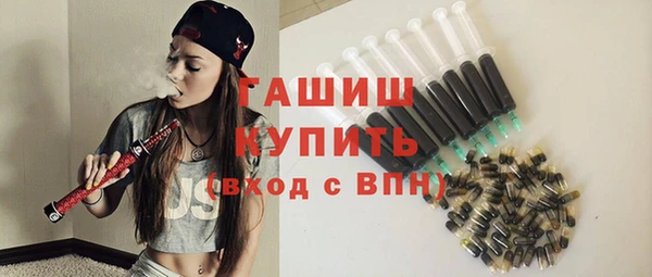 мдпв Гусев