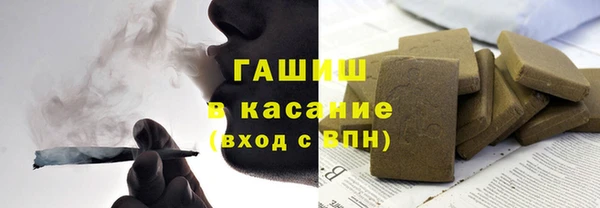 мдпв Гусев