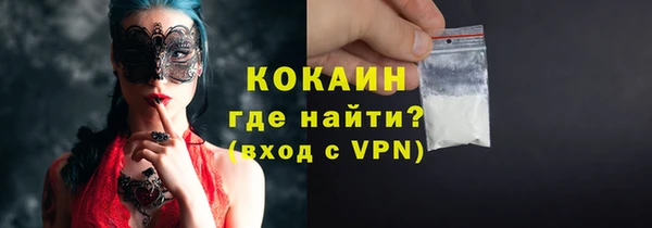 гидра Гусь-Хрустальный