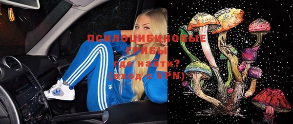 мдпв Гусев