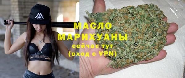 мдпв Гусев