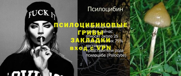 синтетический гашиш Гусиноозёрск