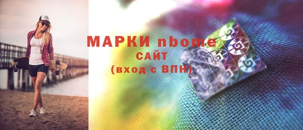 мдпв Гусев