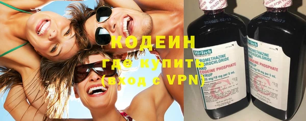 гидра Гусь-Хрустальный