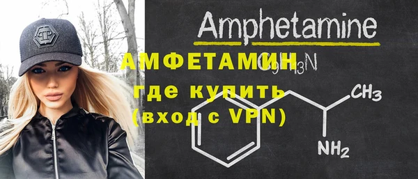 мдпв Гусев
